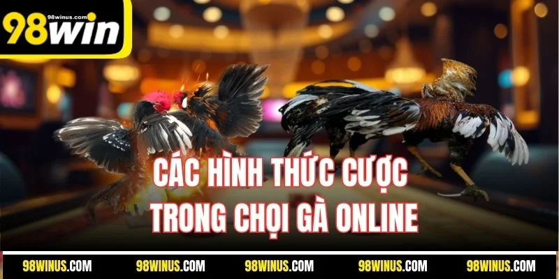 Các hình thức cược trong chọi gà online