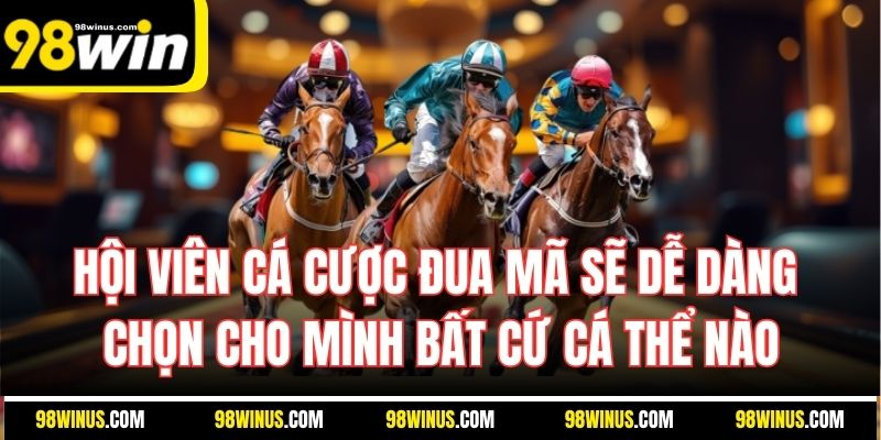 Hội viên cá cược đua mã sẽ dễ dàng chọn cho mình bất cứ cá thể nào