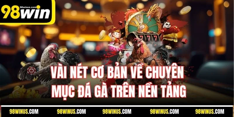 Vài nét cơ bản về chuyên mục đá gà trên nền tảng